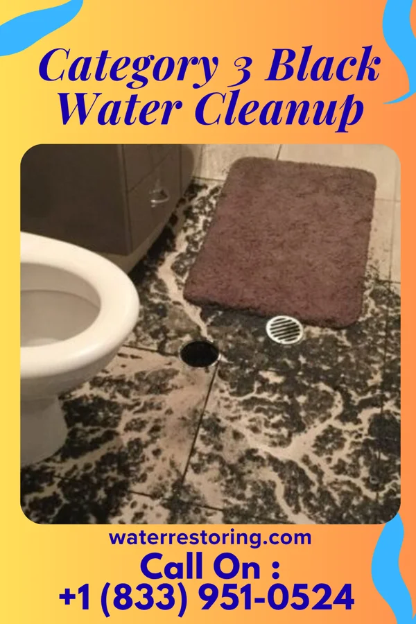 Category 3 Black Water Cleanup in Katy, TX
