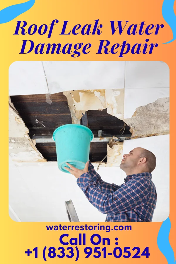 Roof Leak Water Damage Repair in Katy, TX